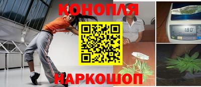 крисы Лесной