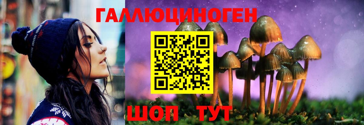 Псилоцибиновые грибы мухоморы Краснодар